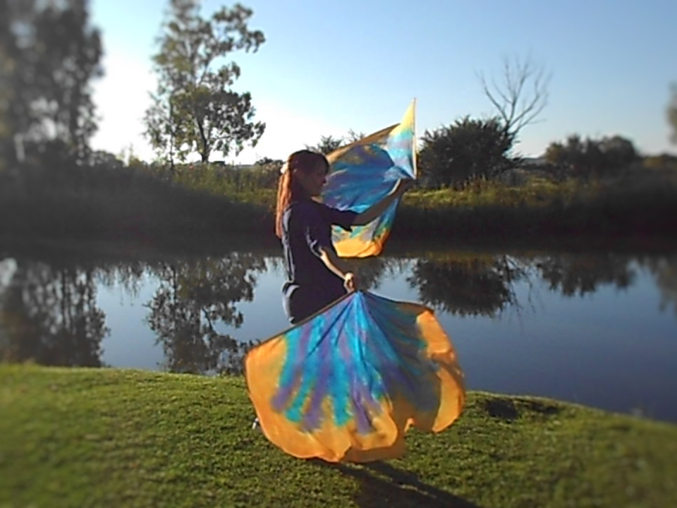Silk Swing Flags | Gracefully Broken - Image 6
