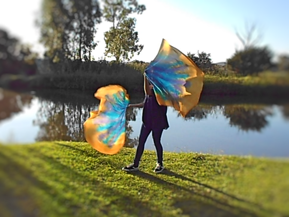 Silk Swing Flags | Gracefully Broken - Image 4
