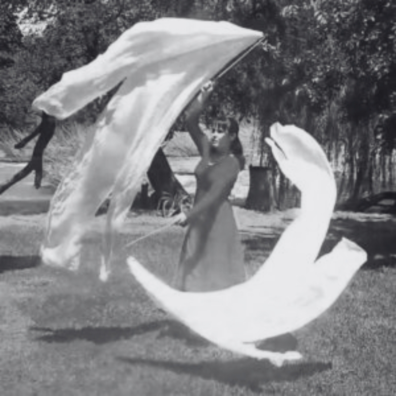 Silk Motion Streamers | Prophetic Dye