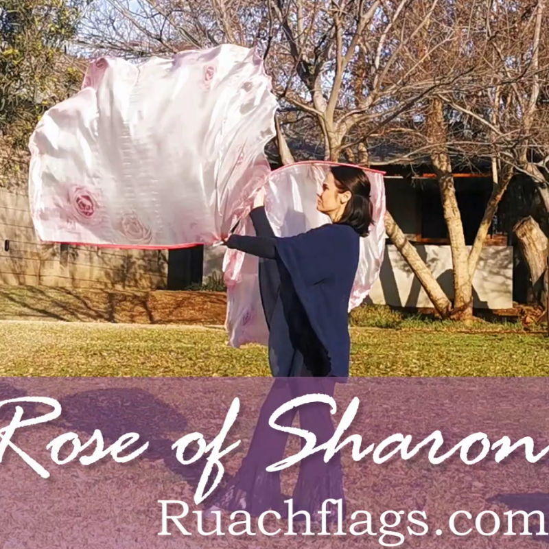 Chiffon Printed Flag | Semi-circle | Rose of Sharon - Image 5