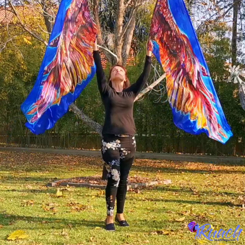 Chiffon Printed Flag | Banner Flags | Eagle Wings - Image 3