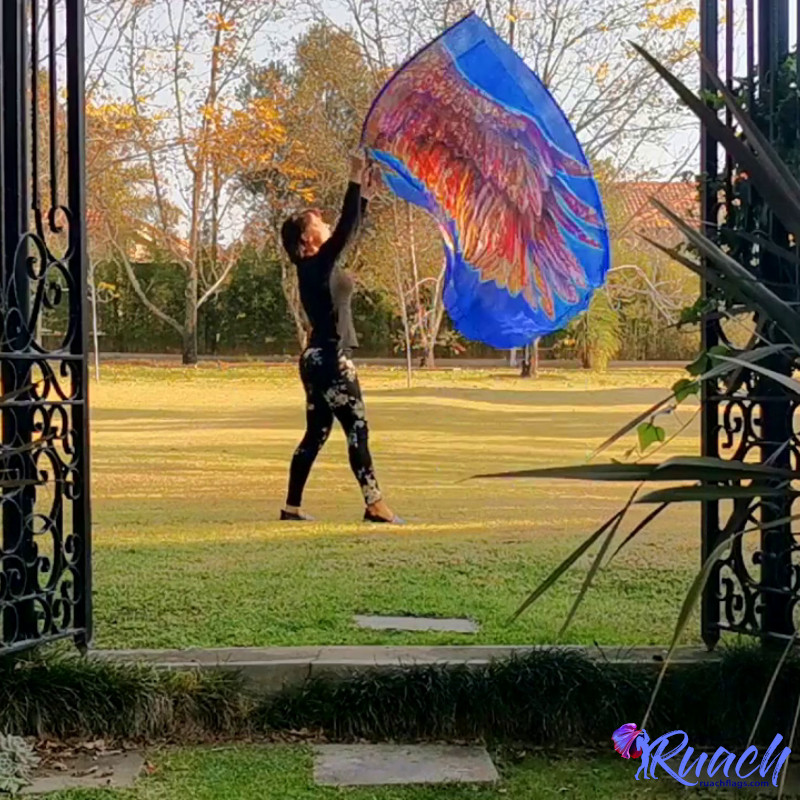 Chiffon Printed Flag | Banner Flags | Eagle Wings - Image 2